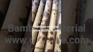 How to make Chinese flute—perfect bamboo material @Dan Tang