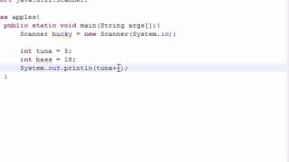 Java Programming Tutorial 9 Increment Operators