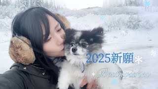 【走跳世界】雪地之旅，心願的延續，時光的凝視 ❄️