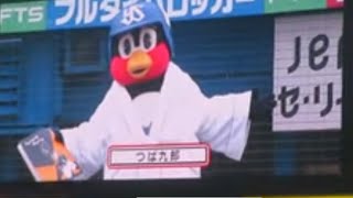 【祝2000試合】つば九郎おめでとう！出川哲朗からお祝いのメッセージ！試合前の今日のひとこと（神宮球場）2022.08.05ヤクルトスワローズvs巨人　ジャイアンツ