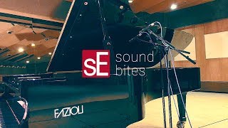 SoundBites: sE8 + Grand Piano