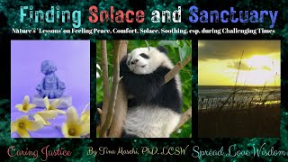 Finding Solace and Sanctuary: A Tribute to Life and Living Through Easy and Difficult Times