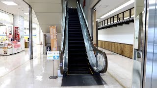 【東芝製】みはら歴史館　昇りエスカレーター