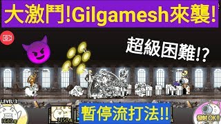 【貓咪大戰爭】大激鬥!Gilgamesh來襲!!~英雄王的降臨《小崩呆呆》