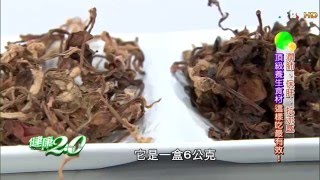 金線連的保健功效 頂級養生食材這樣吃最有效  健康2.0 20160319(4/4)