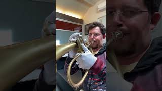 Trumpet Hacker geht live! Van Laar Flugelhorns Probe 1