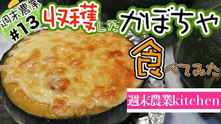 ▶︎【かぼちゃ収穫】収穫したかぼちゃをアレンジ料理で作ってみた。