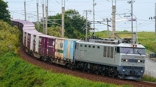 【JR貨物】 いよいよ運用開始、銀釜EF510-509号機　@京都　2016/06/04