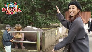 【BS11】#11「子どもも大人も楽しめる動物園『沖縄こどもの国』をご紹介!!」沖縄探訪ありんくりん／ナビゲーター：澪花（2025年2月16日放送）