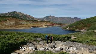 白馬大池と栂池平の紅葉（2021年10月５日）