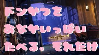 PS4【FORTNITE】うまくなりたい。めげない。あきらめない。【フォートナイト】