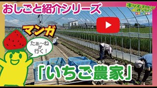 お仕事紹介動画シリーズ『いちご農家のおしごと体験』