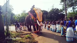 ശരൺഅയ്യപ്പൻ🐘അടുപ്പുട്ടി പള്ളി പെരുന്നാൾ 2019😍