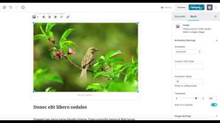 Animated Blocks for Gutenberg WordPress