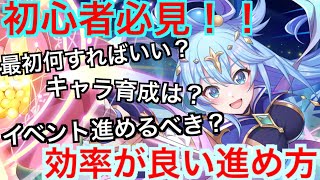 【このファン】初心者必見！！最初何すればいいの？最高効率を紹介！！！