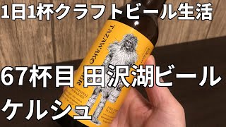 #Shorts 【1日1杯クラフトビール生活】67杯目 田沢湖ビール ケルシュ