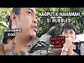 NAGPUTIK NA NAMAN PAA NG KALAPATI KONG SI BUBBLES BBCM 3RD LAP DERBY CANDON ILOCOS SUR