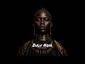 Zulu Noir Vol. 01 — Midnight Pulse | Hypnotic Tribal Afro House Mix
