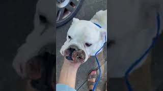 Covered Head To Toe In Painful Sore & Lumps, Looking For Help, Bane Was Beginning To Feel Unseeable