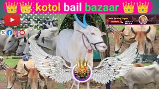 katol bail bazaar | katol bail market nagpur