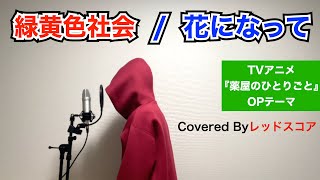 緑黄色社会/『花になって』男が原曲キーで歌ってみた(TVアニメ『薬屋のひとりごと』OPテーマ)