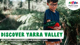 Discover BIG4 Yarra Valley Park Lane Holiday Park | Accommodation | Fun for Kids | Wineries \u0026 Food