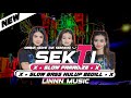 DJ OMBAK GEDE TAK SEBRANGI VIRAL TIKTOK - DJ SEKTI  MIDDLE MBEDIL NROTOK [ Zae/Lin & KarinaVersion ]