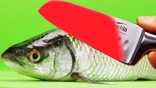 EXPERIMENT Glowing 1000 degree KNIFE VS FISH Herring