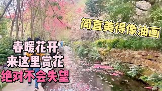 春暖花开，来这里赏花绝对不会失望！简直美得像油画！｜【karen和你聊】