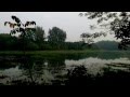 Guest Birds in Jahangirnagar University Lake