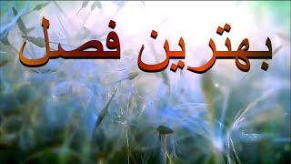 بهترین فصل دکلمه مهرزاد رازی نوازنده و خواننده آرش کوچاکن