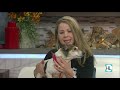 ride along with houston spca s animal rescue ambulance houston life kprc 2