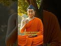 buddha s four noble truths buddha eightfoldpath buddhismteachings sarnathdeerparksermon