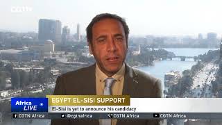 Egyptians urge al-Sisi to seek another term in 2018