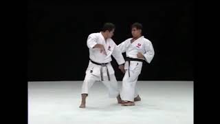 Pachu   Kata \u0026 Bunkai - Ryuei-Ryu