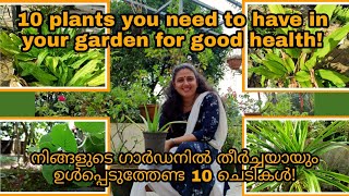 10 plants you need to have in your garden | നിങ്ങളുടെ ഗാർഡനിൽ തീർച്ചയായും ഉൾപ്പെടുത്തേണ്ട 10 ചെടികൾ