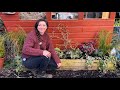 Re-Planting the Shed Border & Building a Polytunnel Bench / Homegrown Garden Vlog