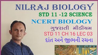 CBSE NCERT BIOLOGY CH 16 LEC 03#દાંત અને જીભ ની રચના# NILRAJ SIR