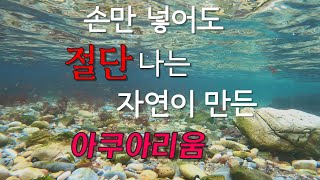 나는 아무도 없는 해변이 좋더라