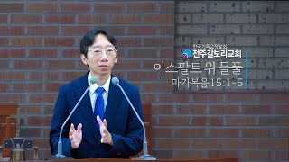 2024.08.11 l 아스팔트 위 들풀 l 전주갈보리교회 주일설교