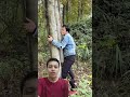 Cewek sendirian di hutan