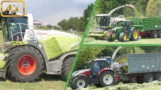 [4K] Grasernte 2023 Häckseln \u0026 Silieren 2. Schnitt / Claas Jaguar 40000 / John Deere / Steyr