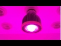 gs 12w spot led grow light