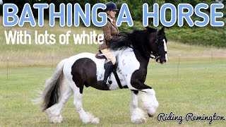 BATHING A HORSE WITH LOTS OF WHITE | How To Bath A Horse | Riding Remington