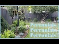 Making Backyard progress! Planting much needed BLUE Perennials + 🩵 Other Perennials!