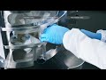 How to Video 2 of 3: Thermo Scientific HyPerforma Single-Use Bioreactor setup and installation