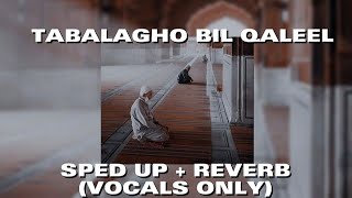 tabalagho bil qaleel - vocals only (sped up+ reverb)