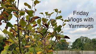 Friday Vlogs with Yarnmugs - family, friends and yarn shopping. 18th October 2024