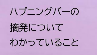 ハプニングバーの摘発についてわかっていること（2024年）