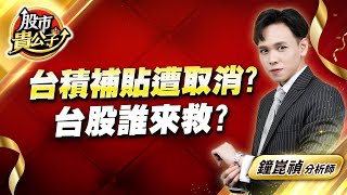 中視【股市貴公子】20241128 #鐘崑禎：台積補貼遭取消？  台股誰來救？ #股市貴公子